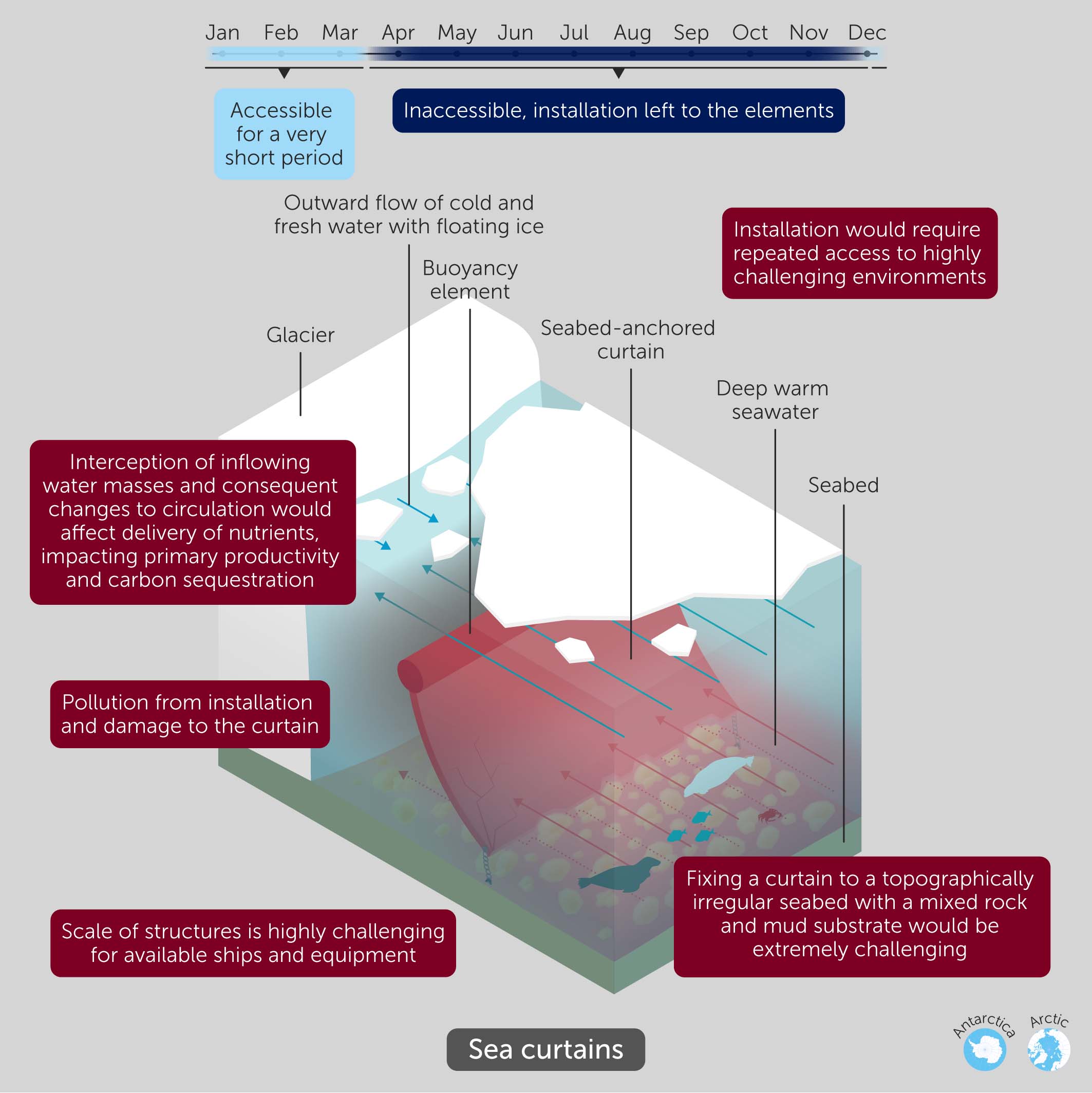 Illustration of sea curtains