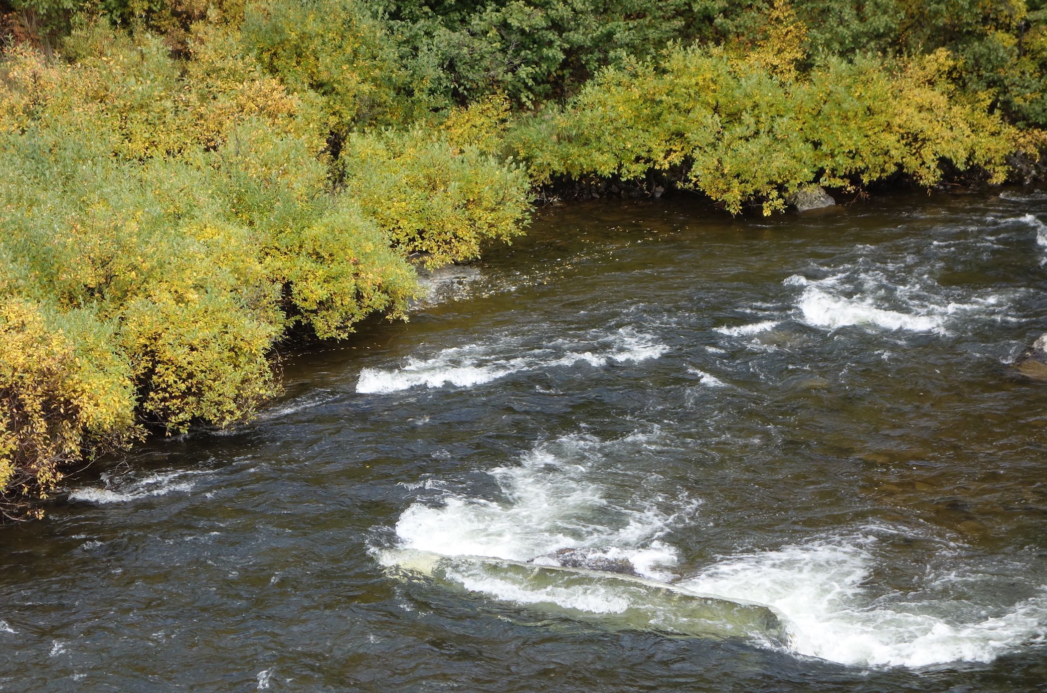 Water pours over a canoe pinned to a rock in a river.