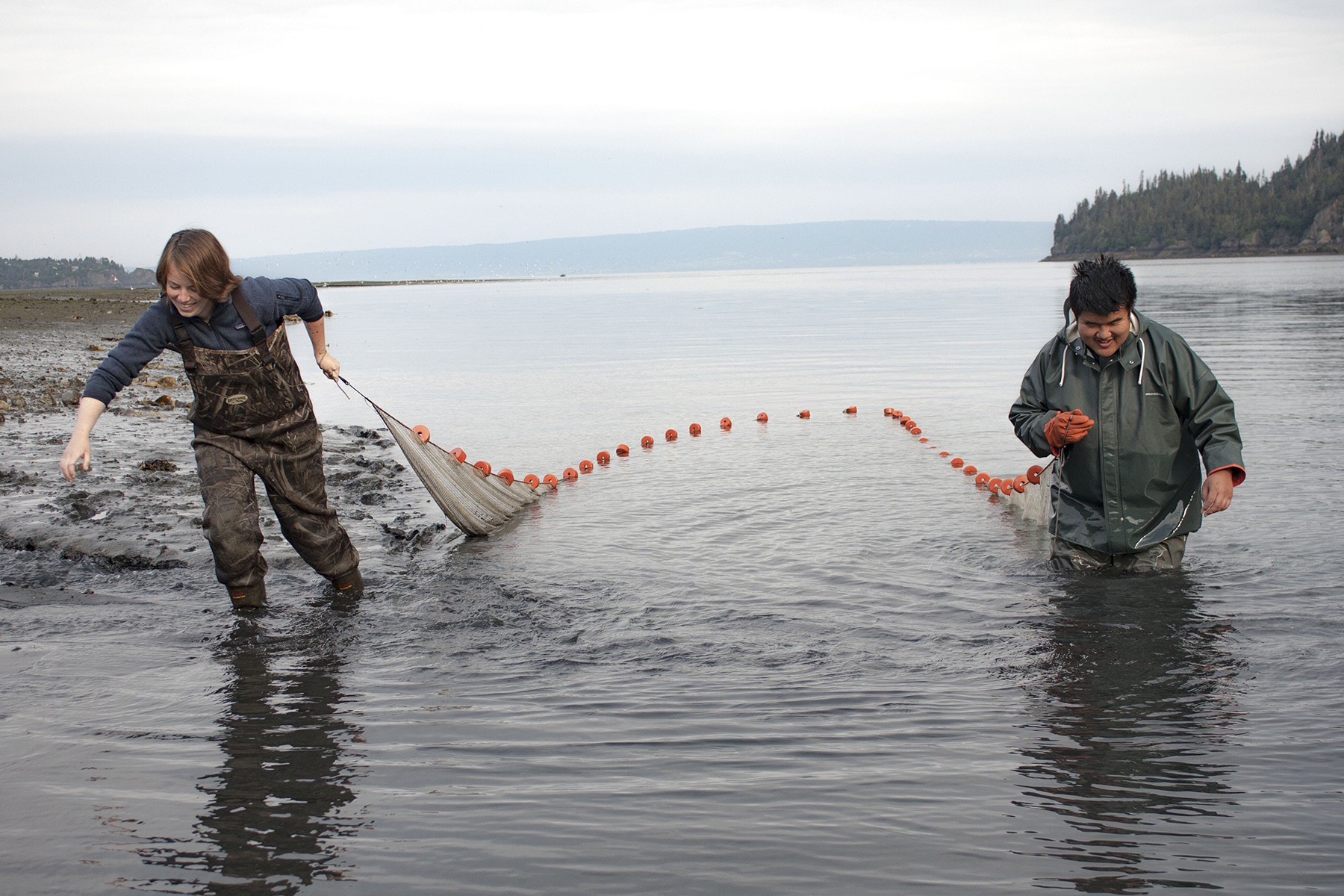 Emily Williamson and fellow UAF undergrad Brian Zhang conduct a beach seine in Halibut Cove off Kachemak Bay in 2019. 