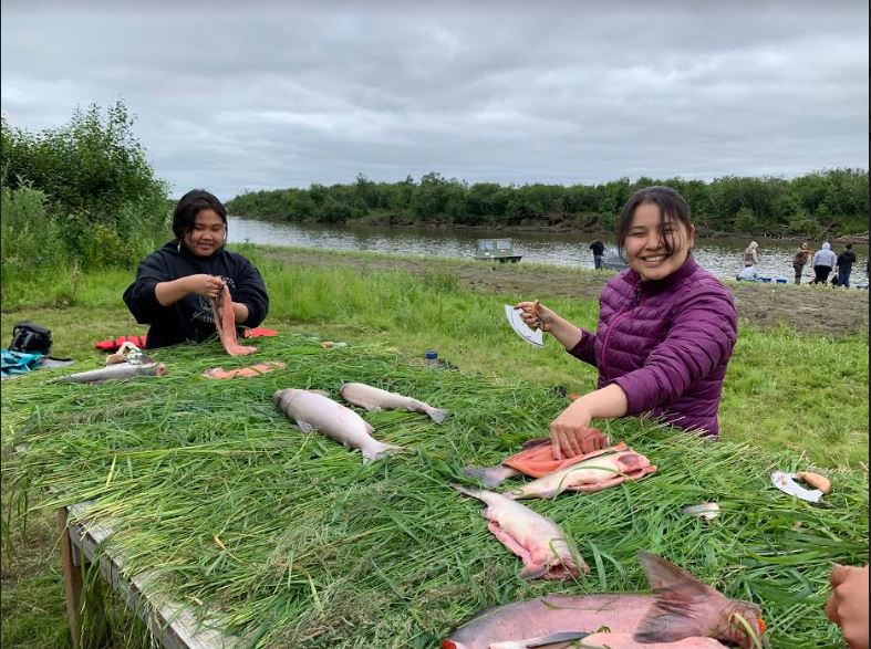 people cutting up salmon