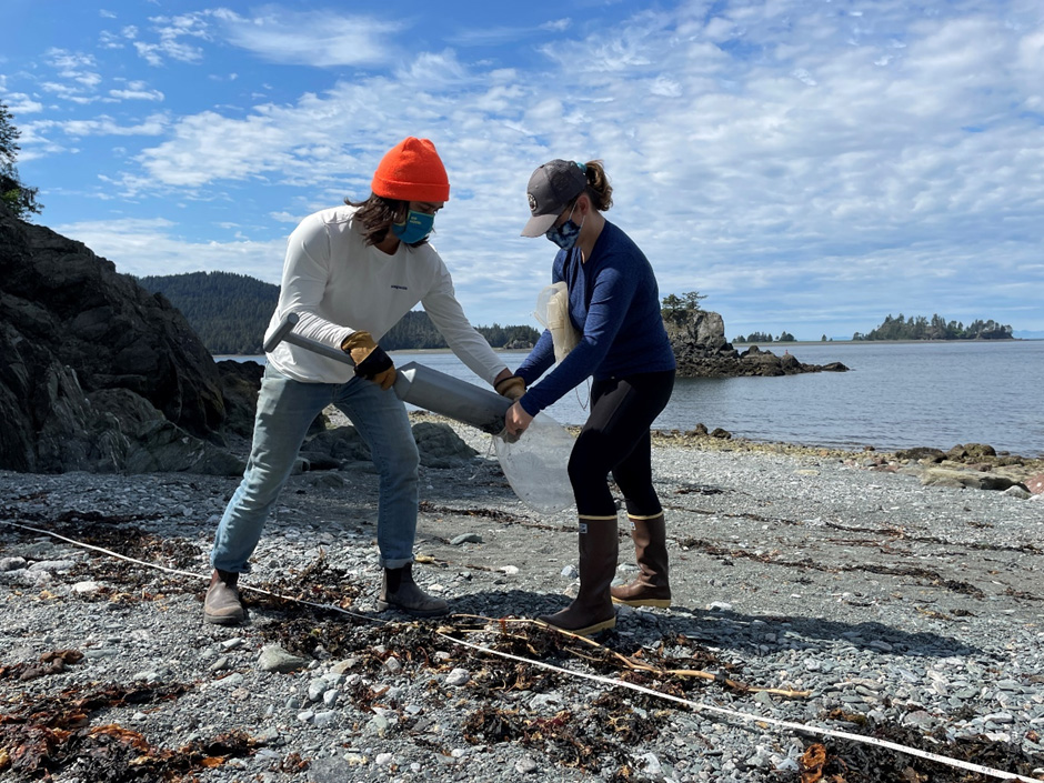 Brian Ulaski and Jennifer Tusten collect cores from the wrack line at Camel Rock in Kachemak Bay in summer 2021. 