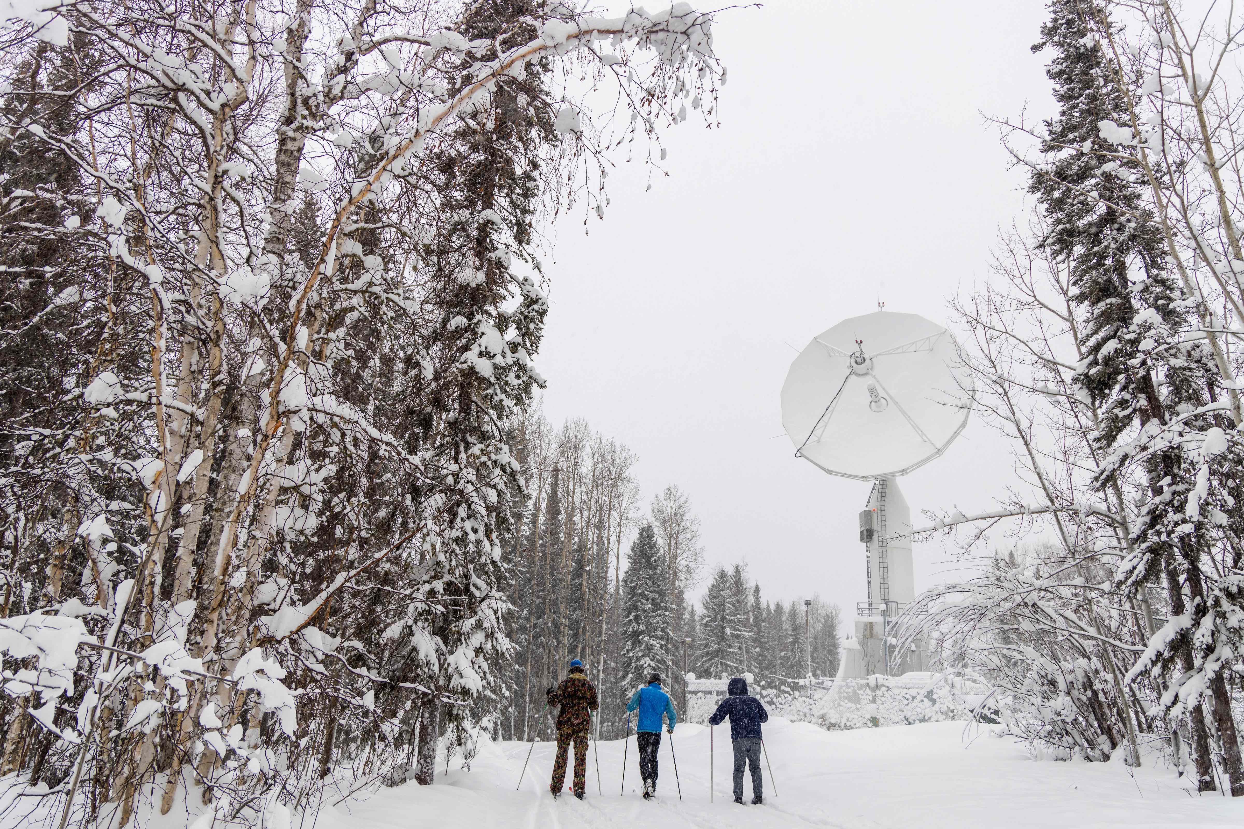 Three people cross-country ski along a snow-covered trail through a forest of frost-coated birch and spruce trees, heading toward a large satellite dish rising above the winter landscape at the University of Alaska Fairbanks. The scene captures a snowy February day during the Winter Carnival Field Day on Feb. 14, 2026, when outdoor activities offered students the chance to try cross-country skiing, ice climbing, dog sledding, sledding and ice skating.