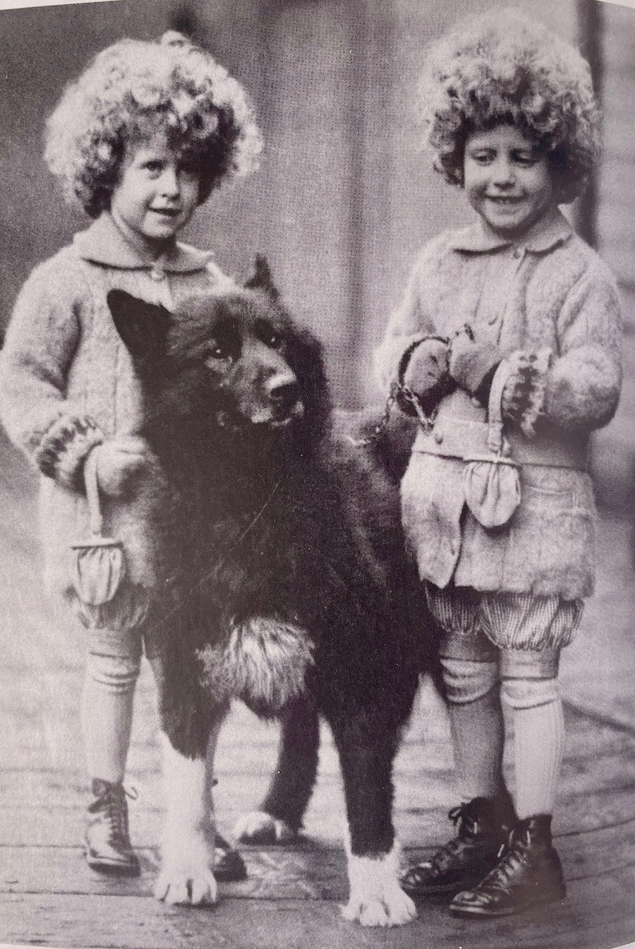 A husky-breed dog stands between twins with long curly blond hair.