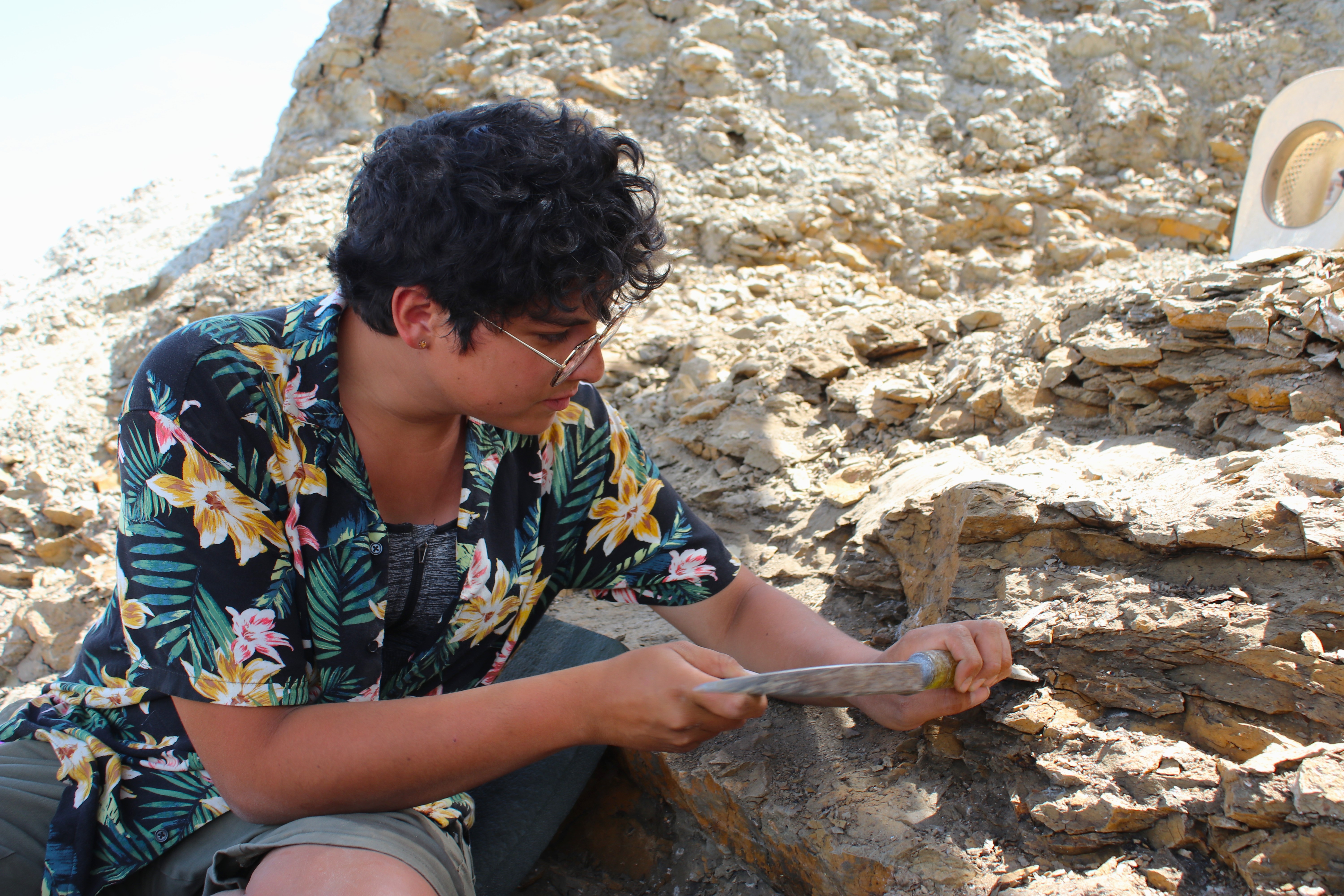 A close-up photo of Daniela Barrera-Guevara chiseling a rock in an arid landscape.