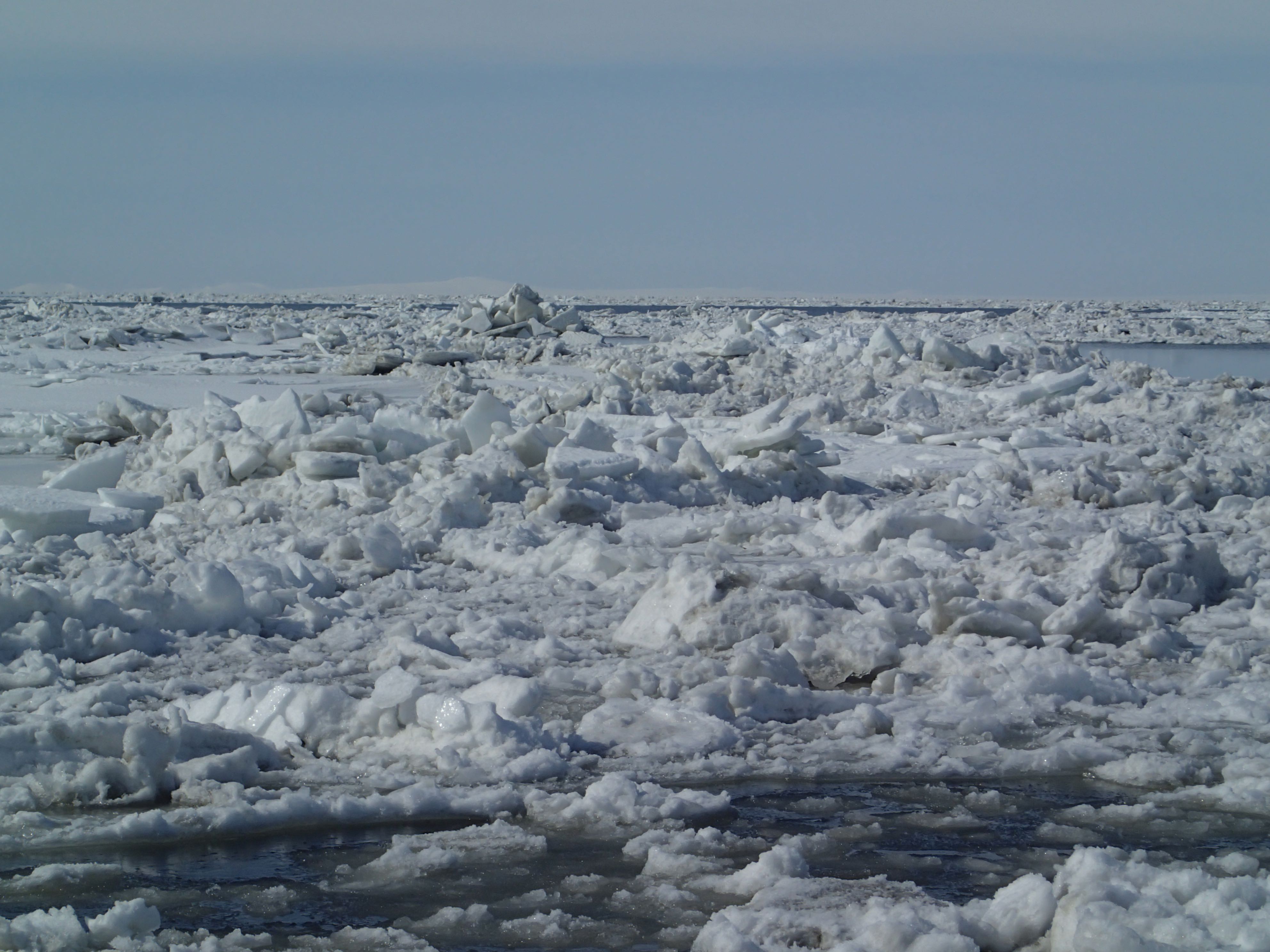 Bering Sea ice