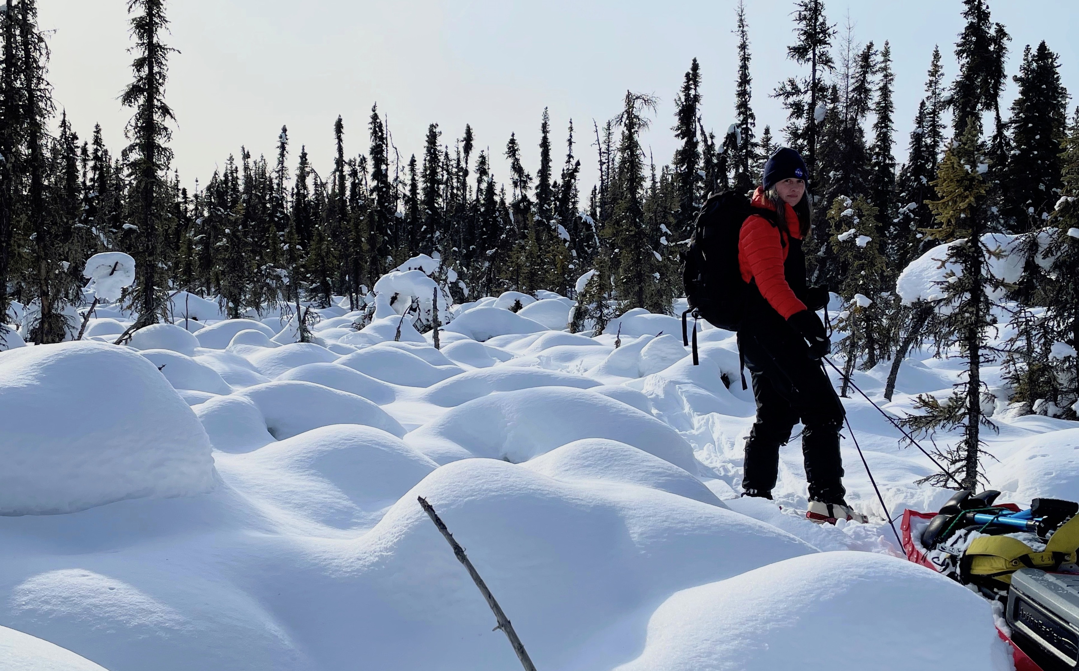 A woman dressed in winter gear wearing a backpack pulls a sled laden with tools through mounds of snow towards a forest of spruce trees.
