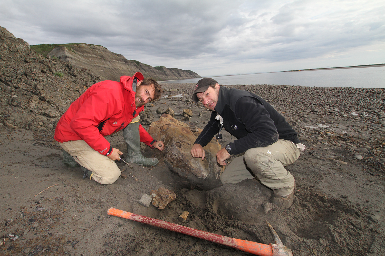 Pat Druckenmiller and Greg Erickson chisel out a bone from a rock slab along the Colville River on Alaska’s North Slope. 