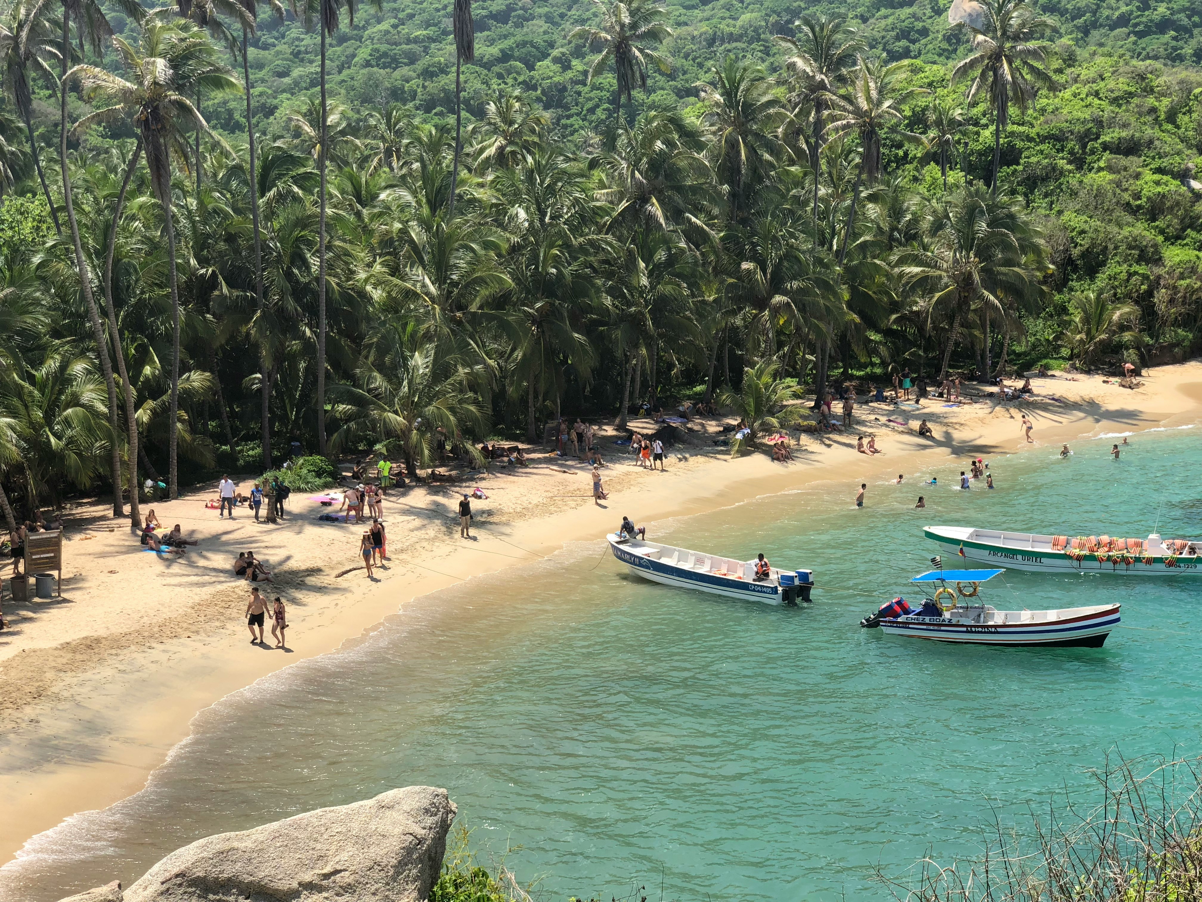 Tropical Colombian beach. (Photo by Nicola Balmain)