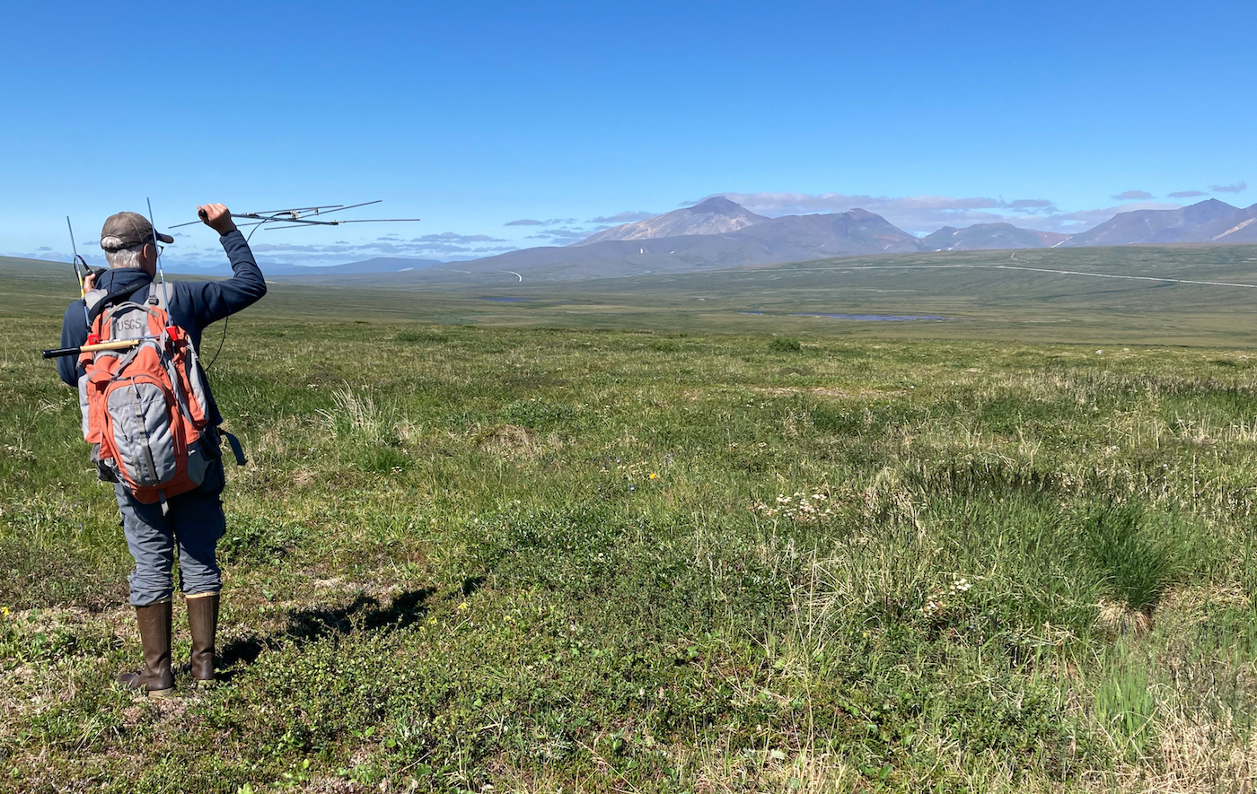 A man holds a directional antenna above his head in an area of rolling tundra.