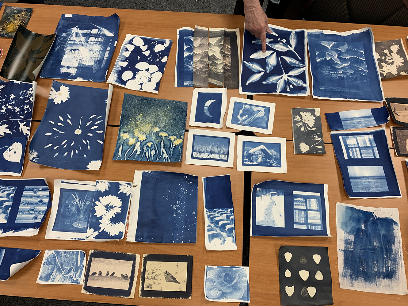A sampling of cyanotypes made by students.