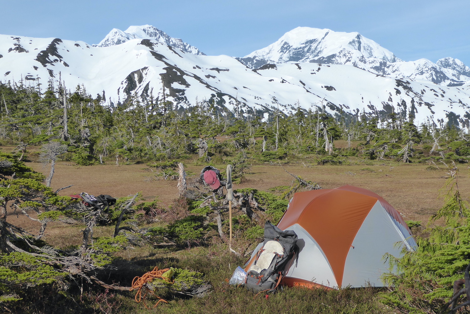 A backpack and tent sit in a grassy area studded with small evergreen trees, with snow-covered mountains rising in the background.