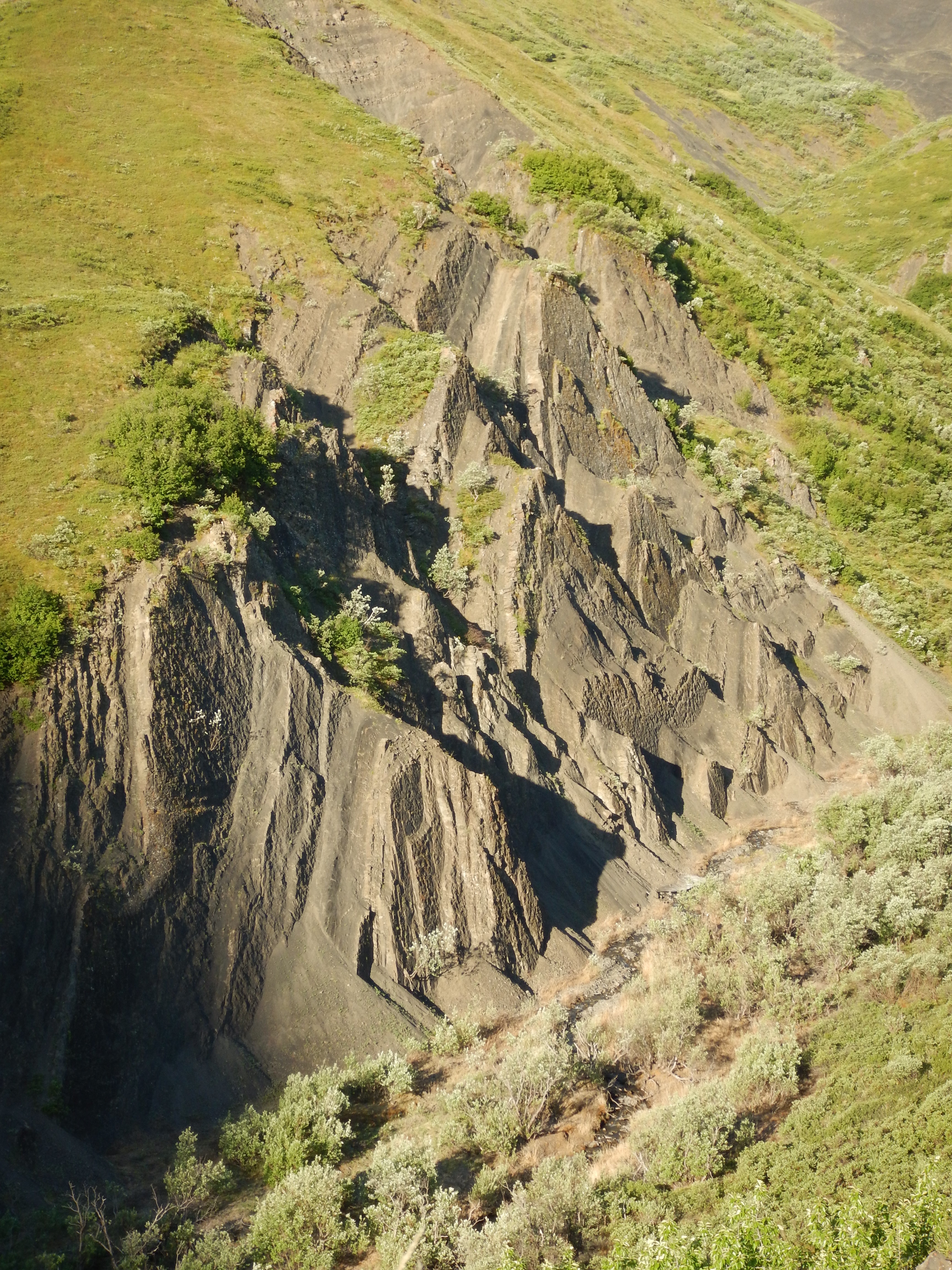 Layers of rock cliffs with dinosaur track divots on the surface, viewed from the air, and surrounded by vegetation.