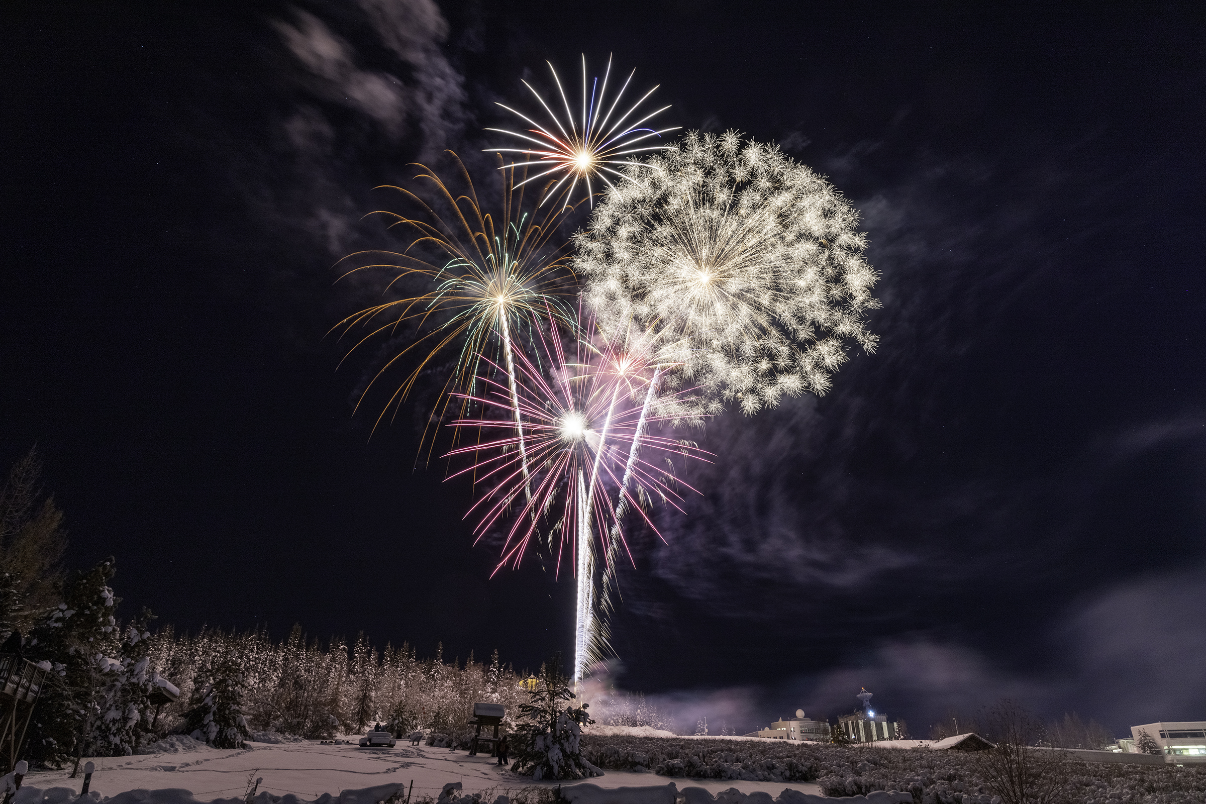 fireworks in a dark sky with buildings in the background