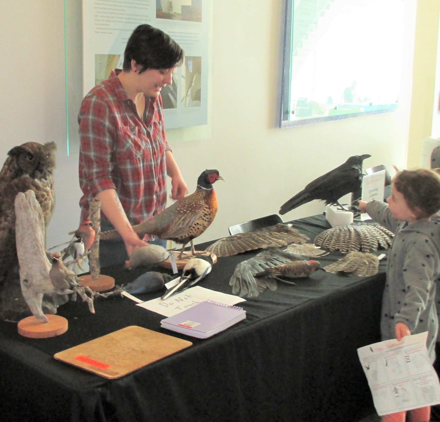 An adult stands behind a table talking to a child holding a worksheet. The table holds taxidermied birds, including a great horned owl, a pheasant, a crow, a pine grosbeak, a northern flicker and others, as well as several bird wings.