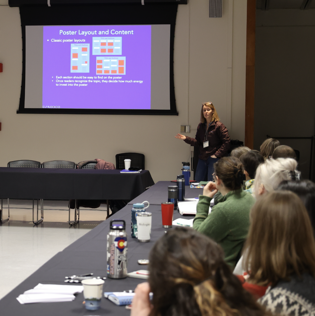 Kristen Gorman presents to students in a conference room. She stands beside a projector screen with a slide titled, "Poster Layout and Content" which displays a few examples of poster layout designs. 