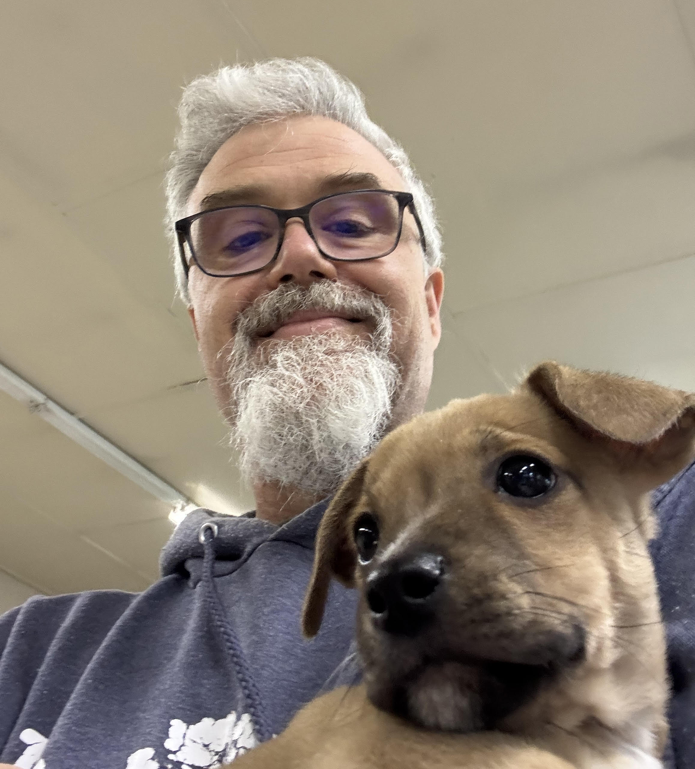 A man in a blue hooded sweatshirt holds a puppy.