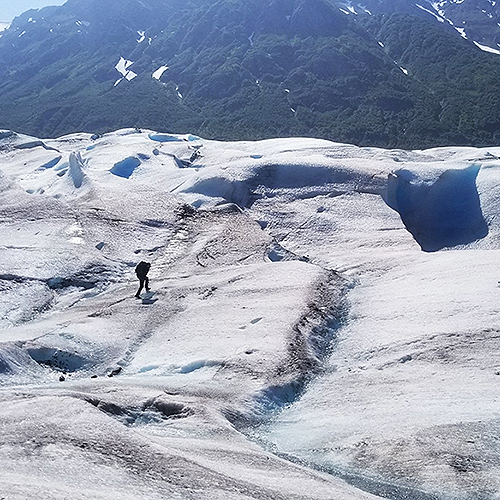 A researcher traverses the Grewingk Glacier to study climate change. Photo by Jordan Jenckes