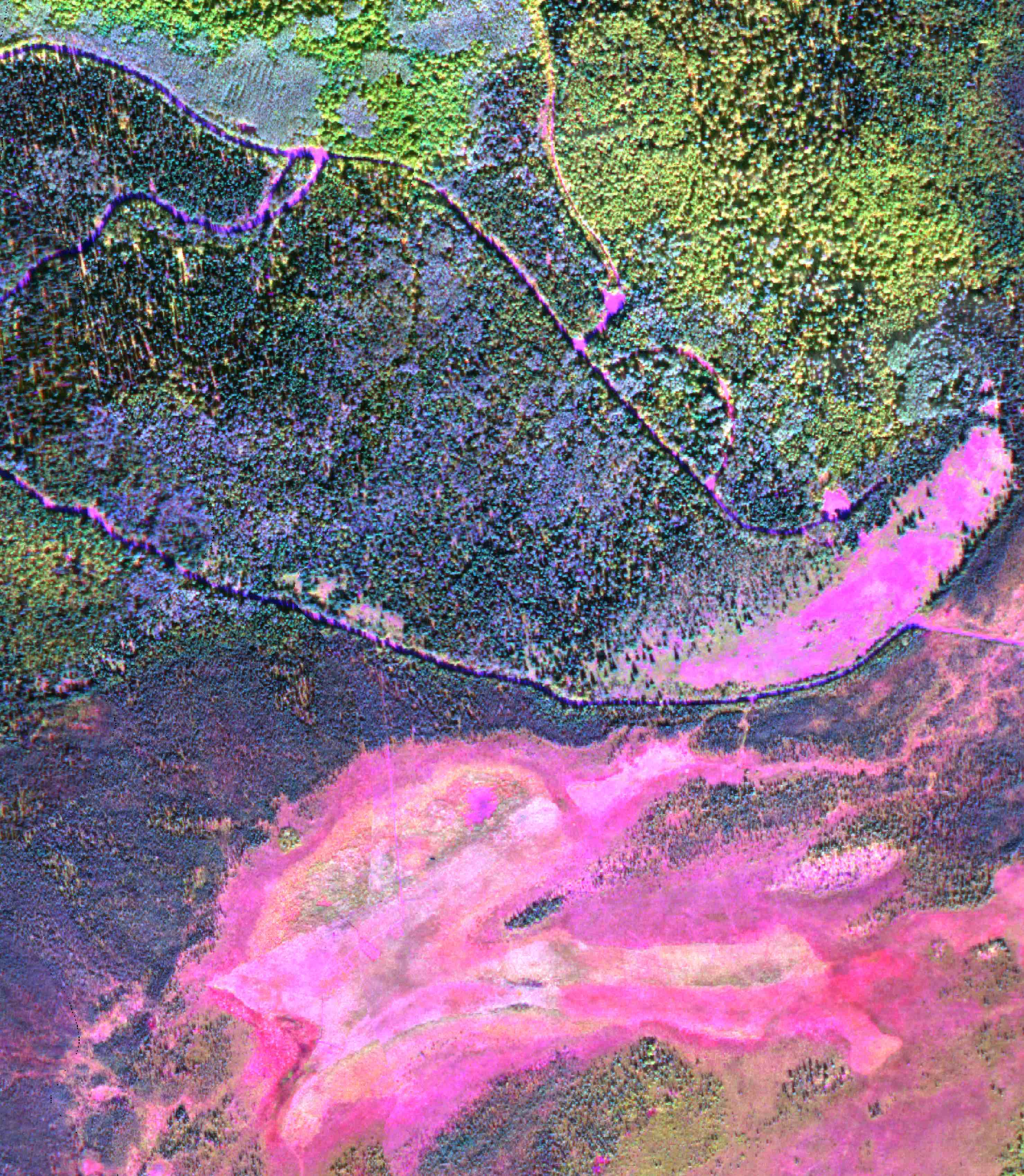 an image showing different colors representing vegetation types