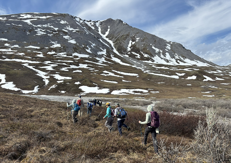A Summer Sessions group in the Arctic in 2025.