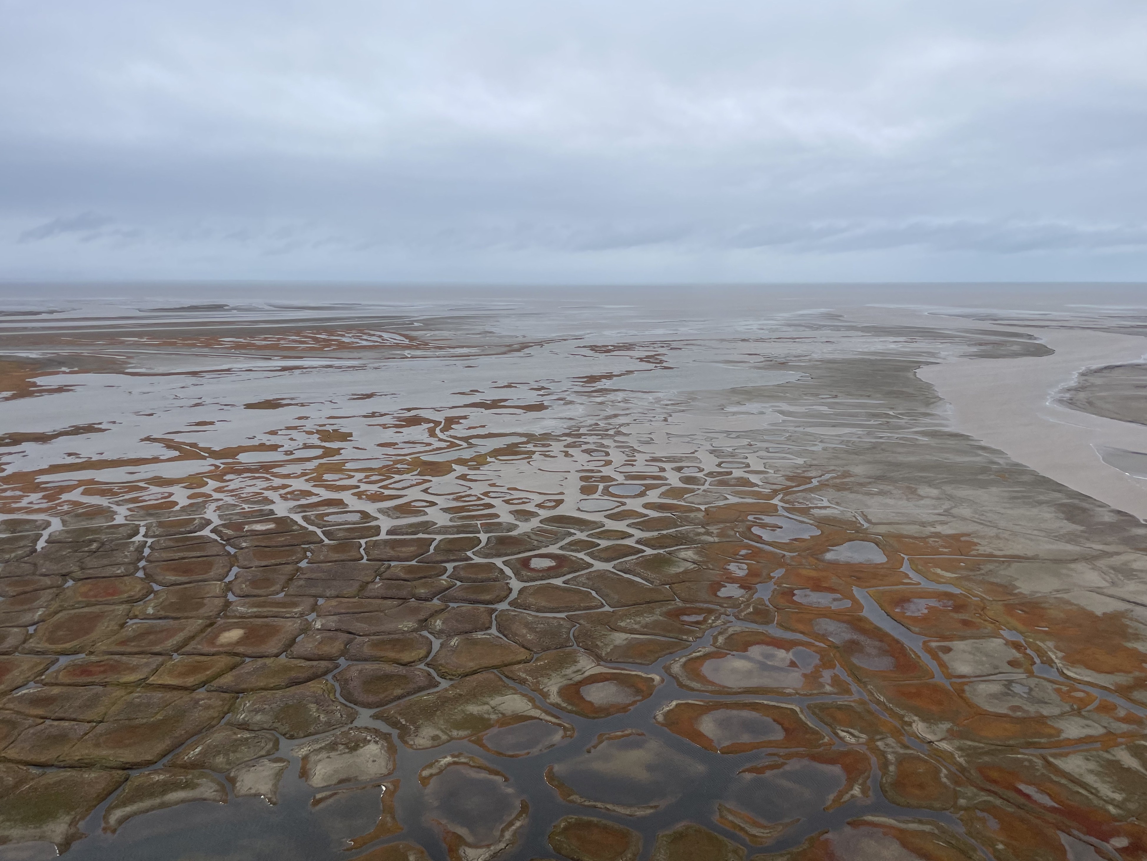 A river delta near the ocean, with a blue, cloudy horizon and polygon-shaped patterns on the ground in the foreground.