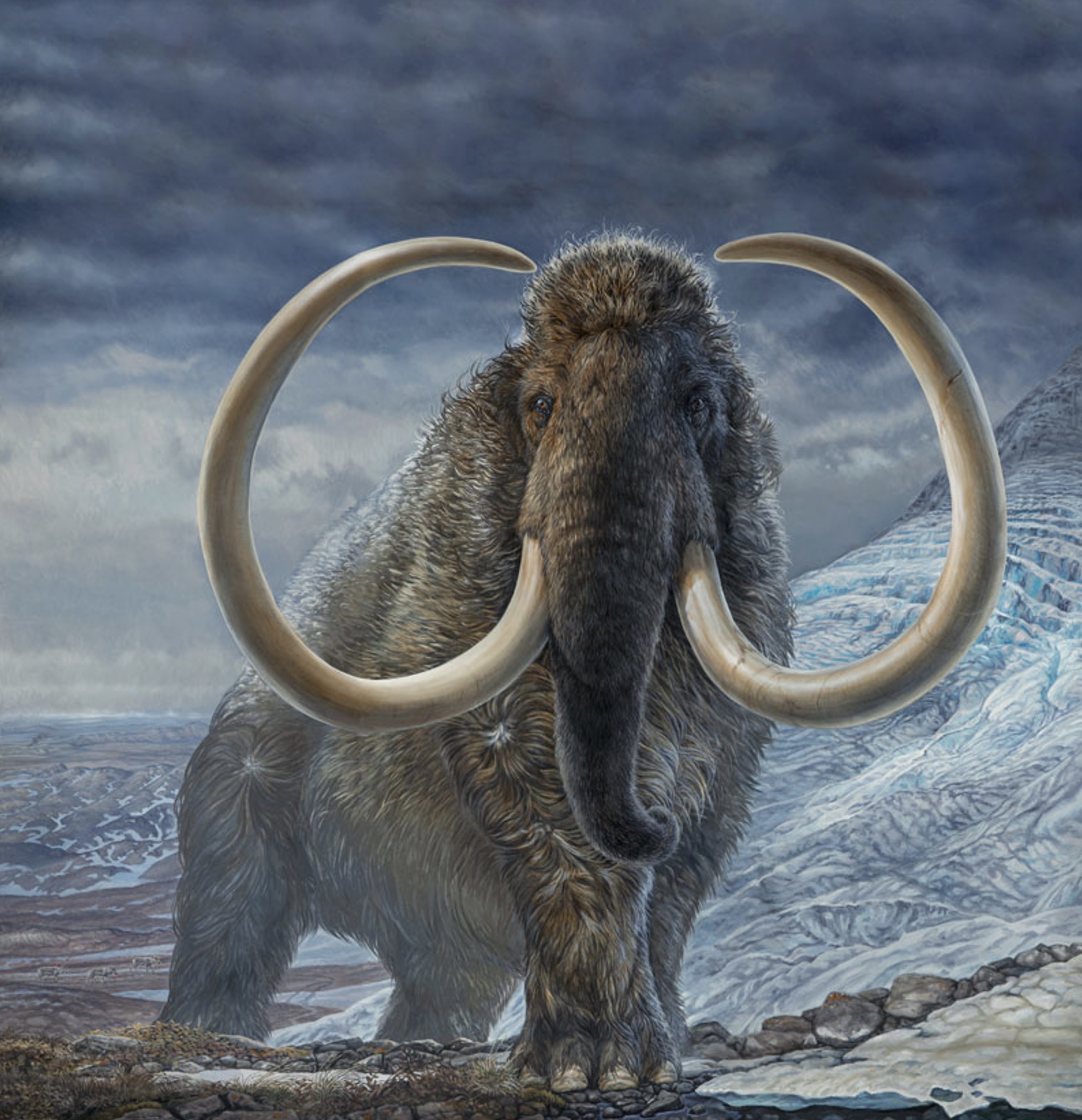 A painting shows a mammoth walking on landscape of tundra, rock, snow and glaciers.