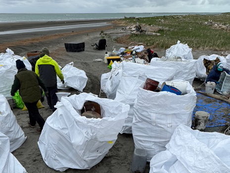 Volunteers collect discarded plastics and other marine debris along an Alaska beach.