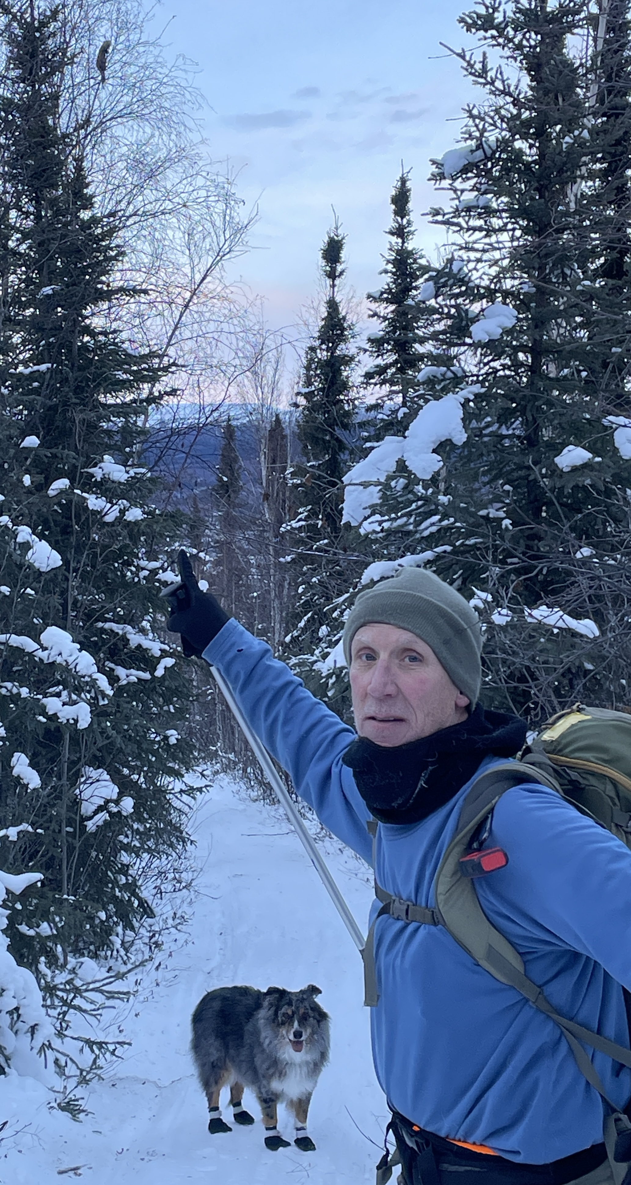 A man in winter gear points to the top of a birch tree, where the silhouette of a marten is visible. A dog in booties stands on the snowy trail nearby.