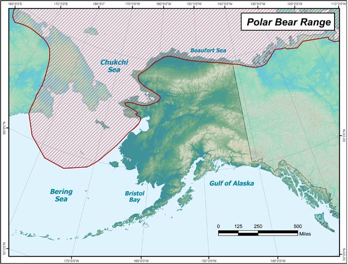 A map of Alaska, northwestern Canada and Russia's Far East is marked with red diagonal lines along the coasts and on the surrounding seas to mark the usual range of polar bears.