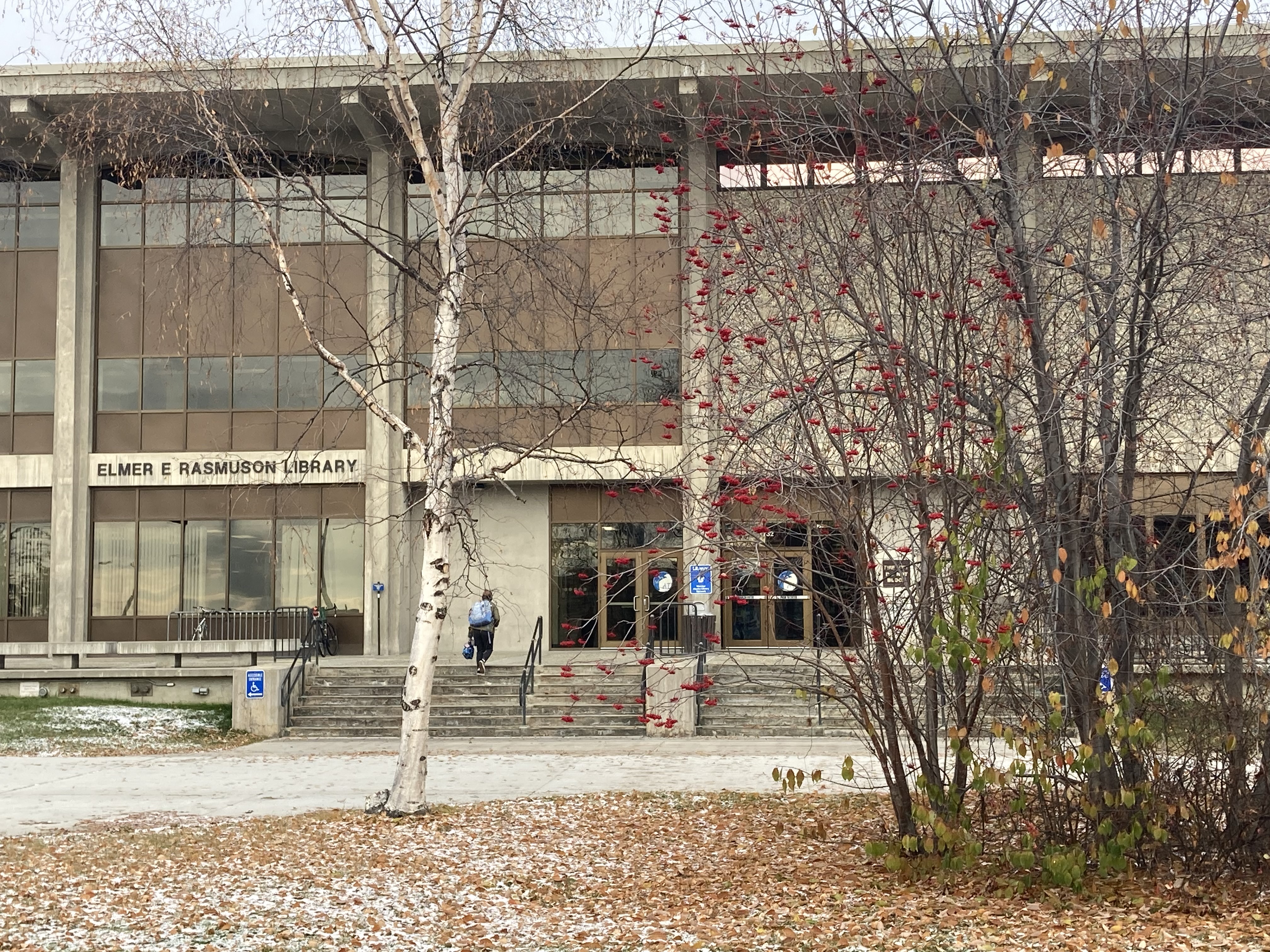 A student walks up to the Rasmuson Library during the fall.