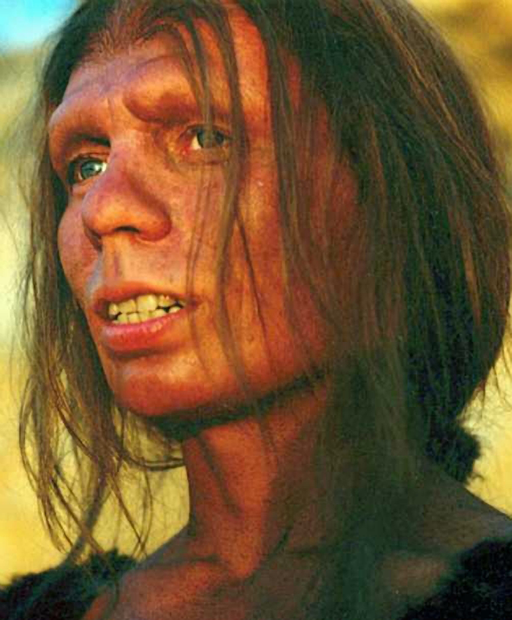 a reconstruction of a Neanderthal woman