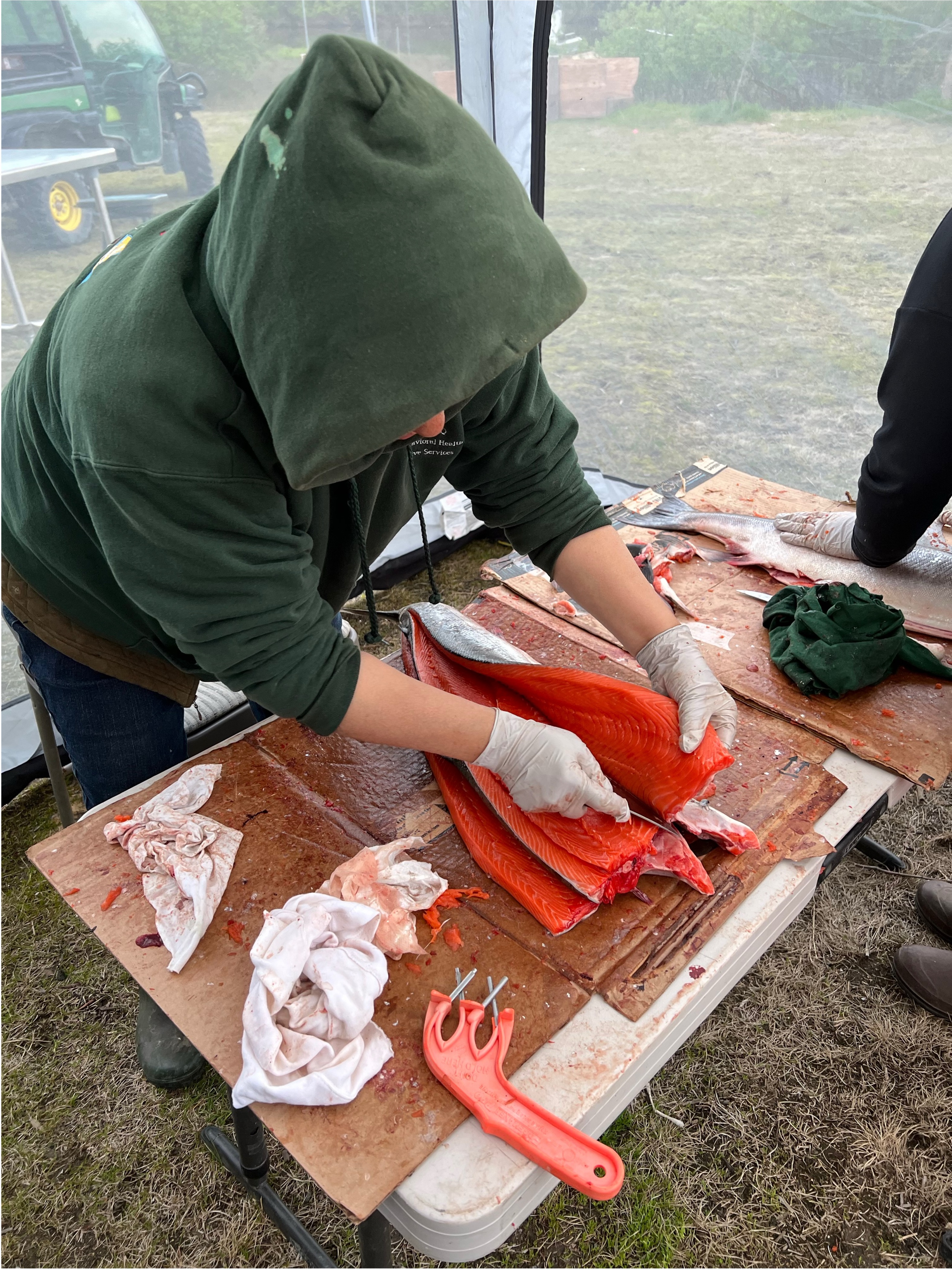 A person in a hoodie works at a table outdoors, cutting a salmon.