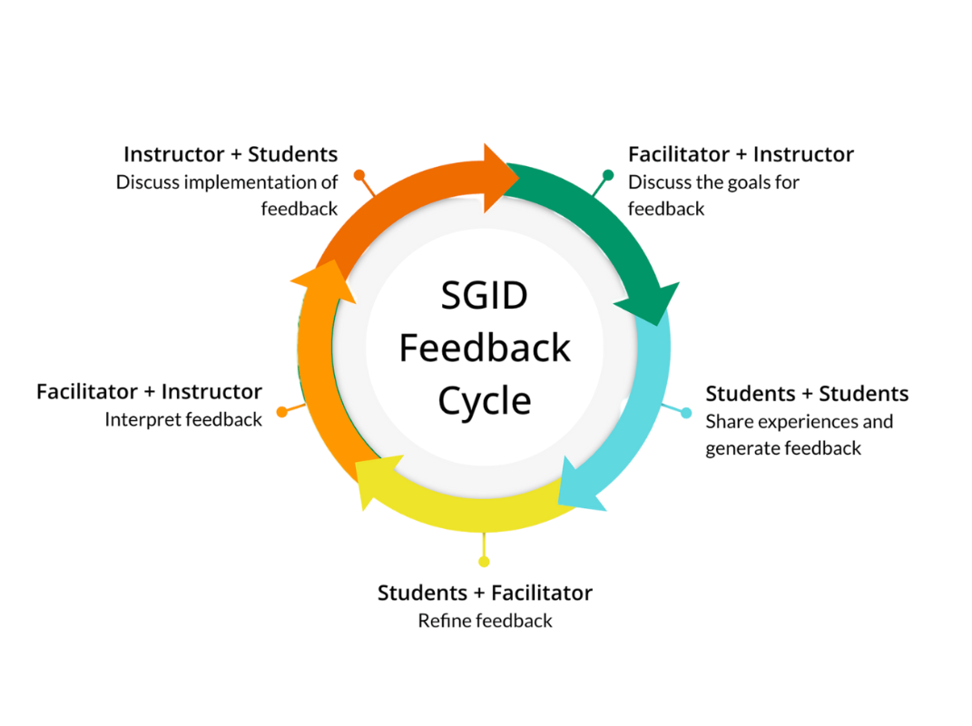 Chart of the Small Group Instructional Diagnosis feedback cycle