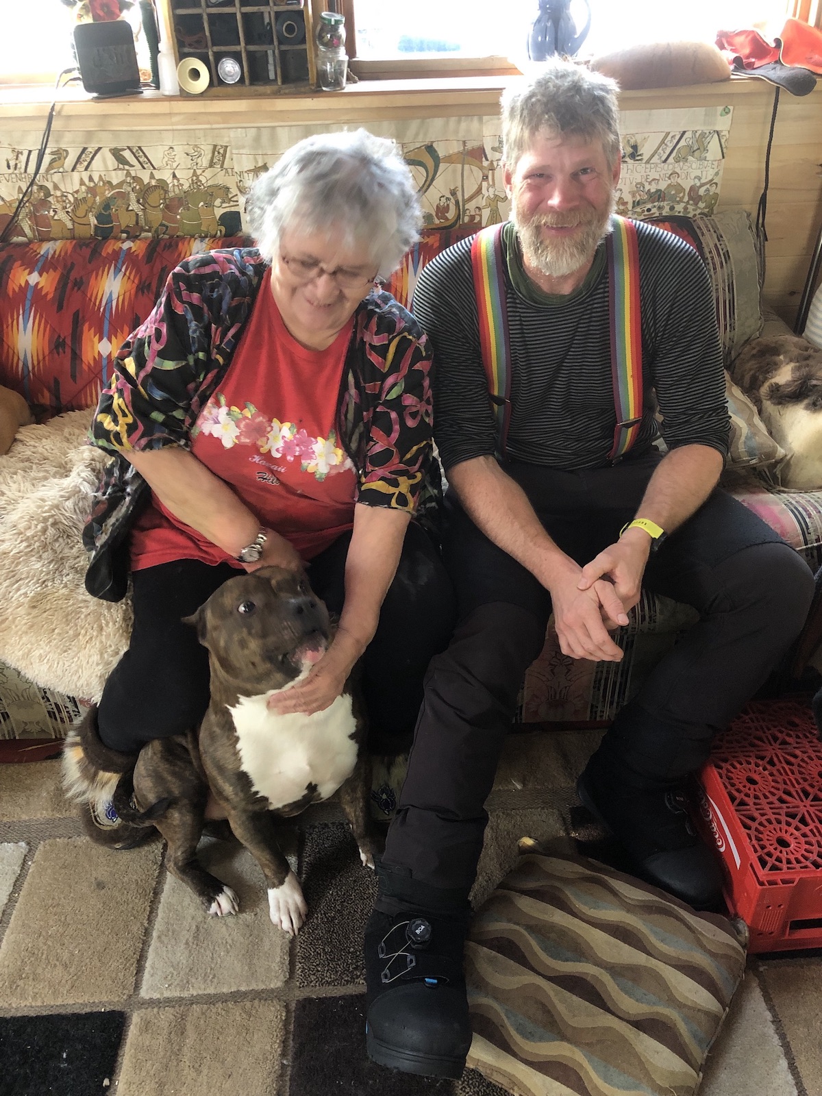A woman, petting a dog, sits on a couch next to a man.