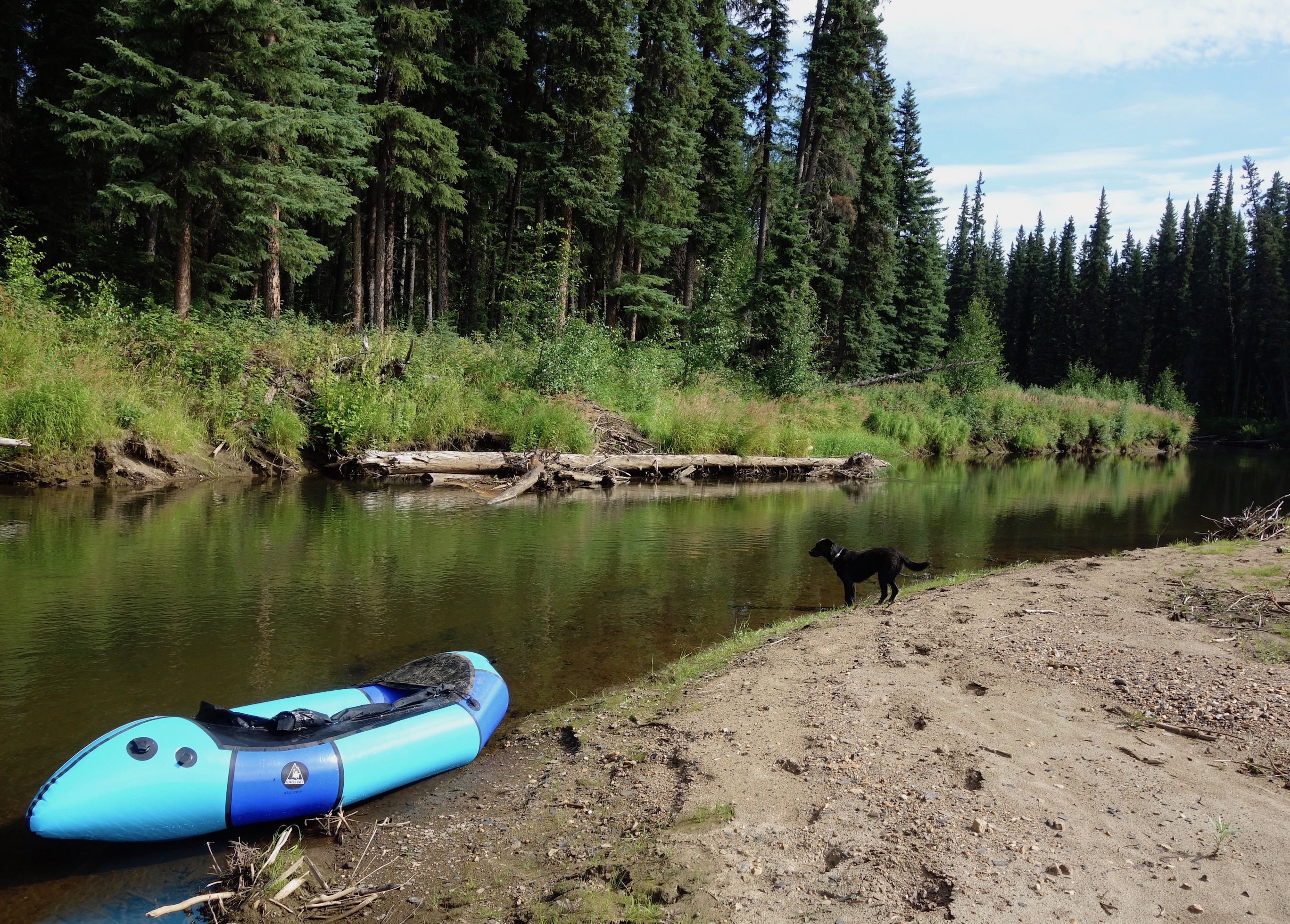 A sky blue packraft sits on a sandbar of a river, with a black dog to the right also on the sandbar.