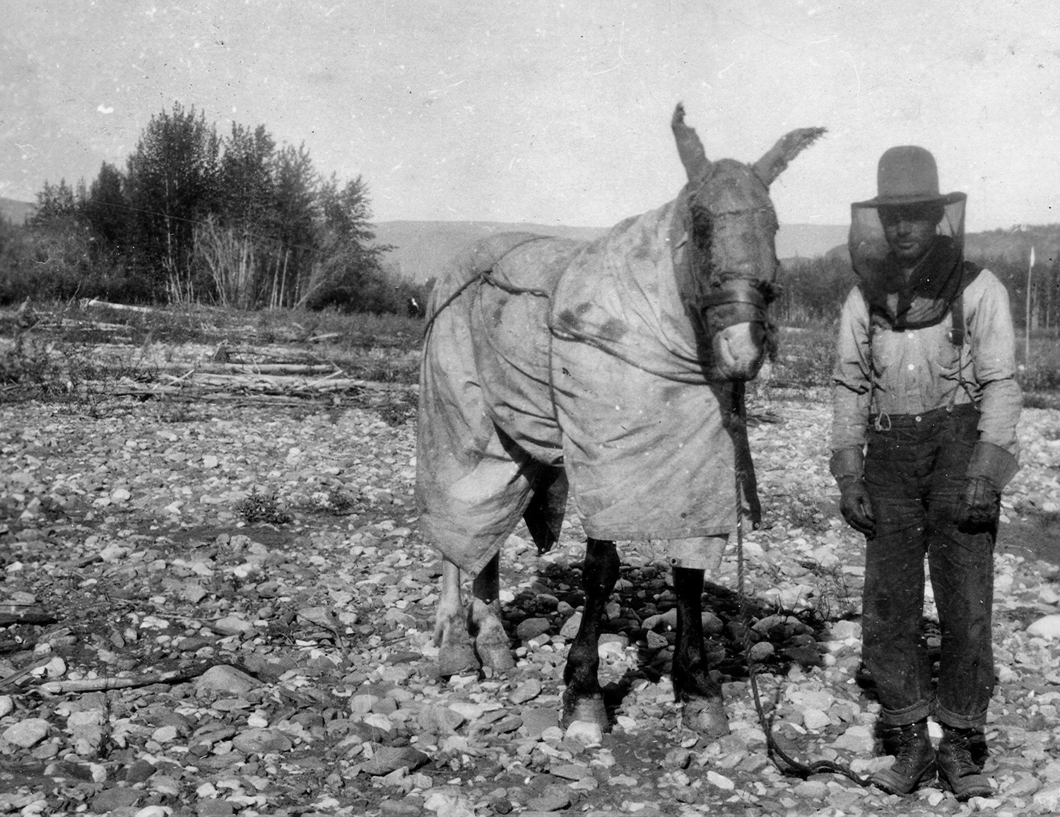 In a black and white photograph, a man wearing gauntlets, suspenders, leather boots and a brimmed hat with a mosquito head net  stands next to a horse wrapped in fabric. They're on a cobbled river bar with driftwood and small trees and brush in the background. Rolling hills mark the horizon. 