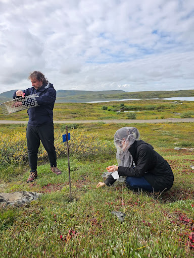 See caption and credit below for description.