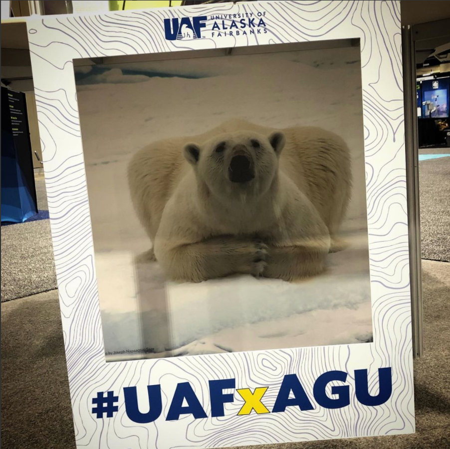 a picture of a polar bear in a selfie frame