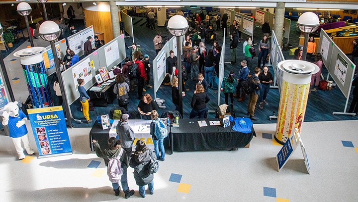 Participants and visitors make their way through various displays at the 2023 URSA Research and Creative Activity Day event.