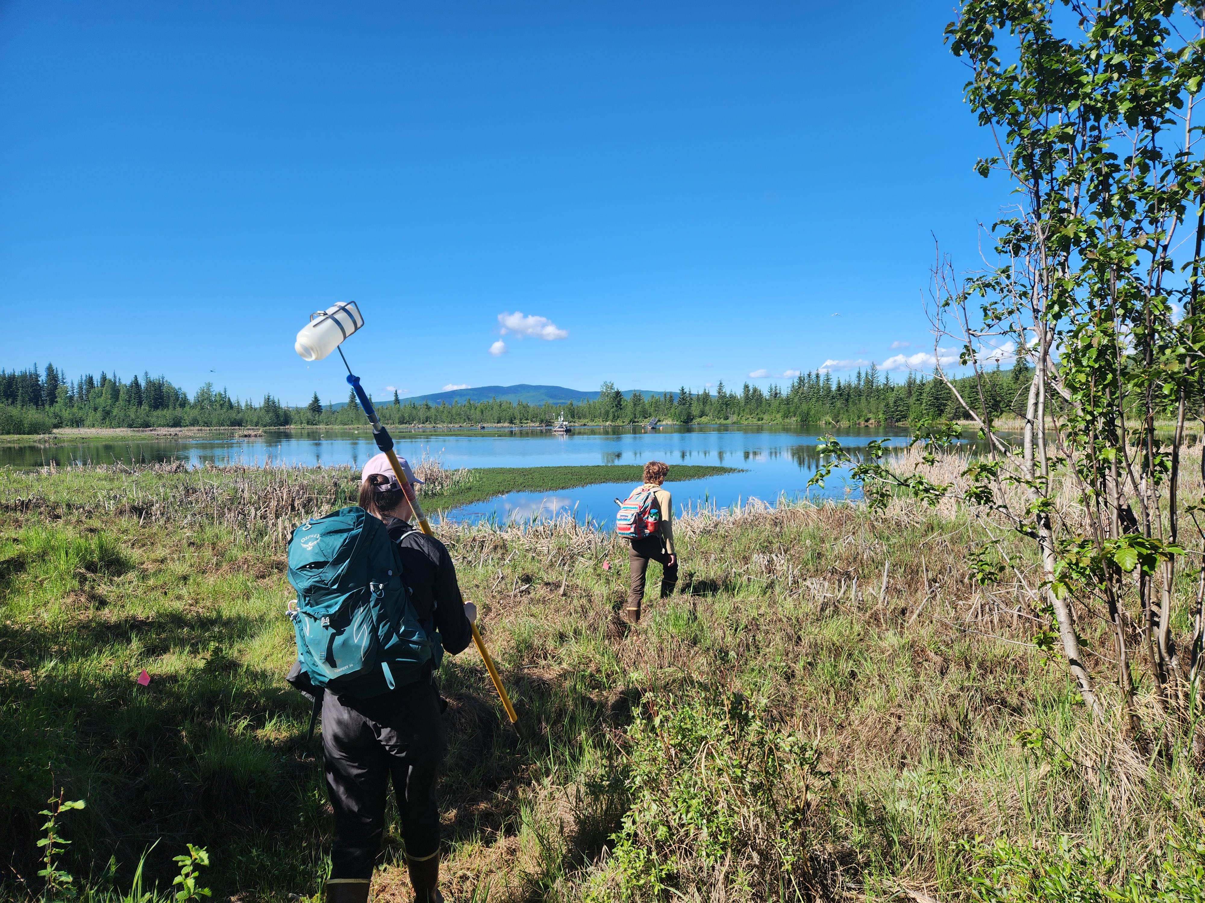 Doctoral student Paige Kehoe and undergraduate student Ryan Owens process and record water samples from a pond near Ballaine Road in Fairbanks, Alaska, during the summer of 2024.