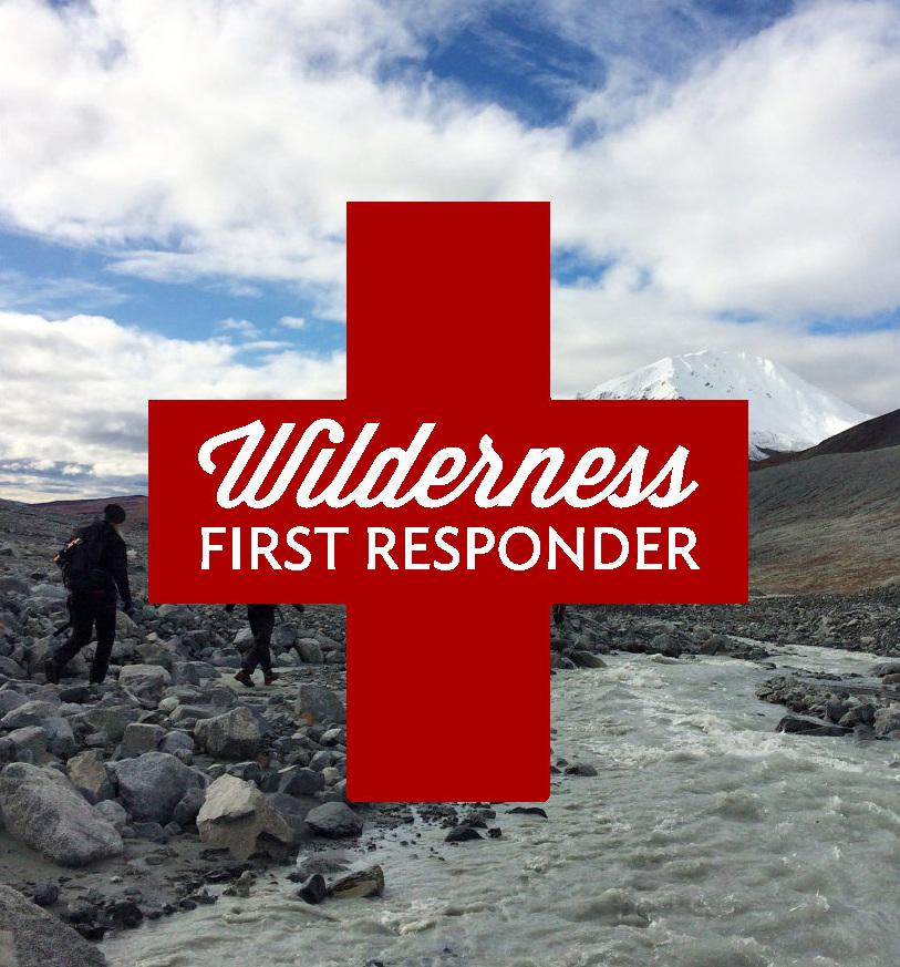 SOLO Wilderness First Responder logo