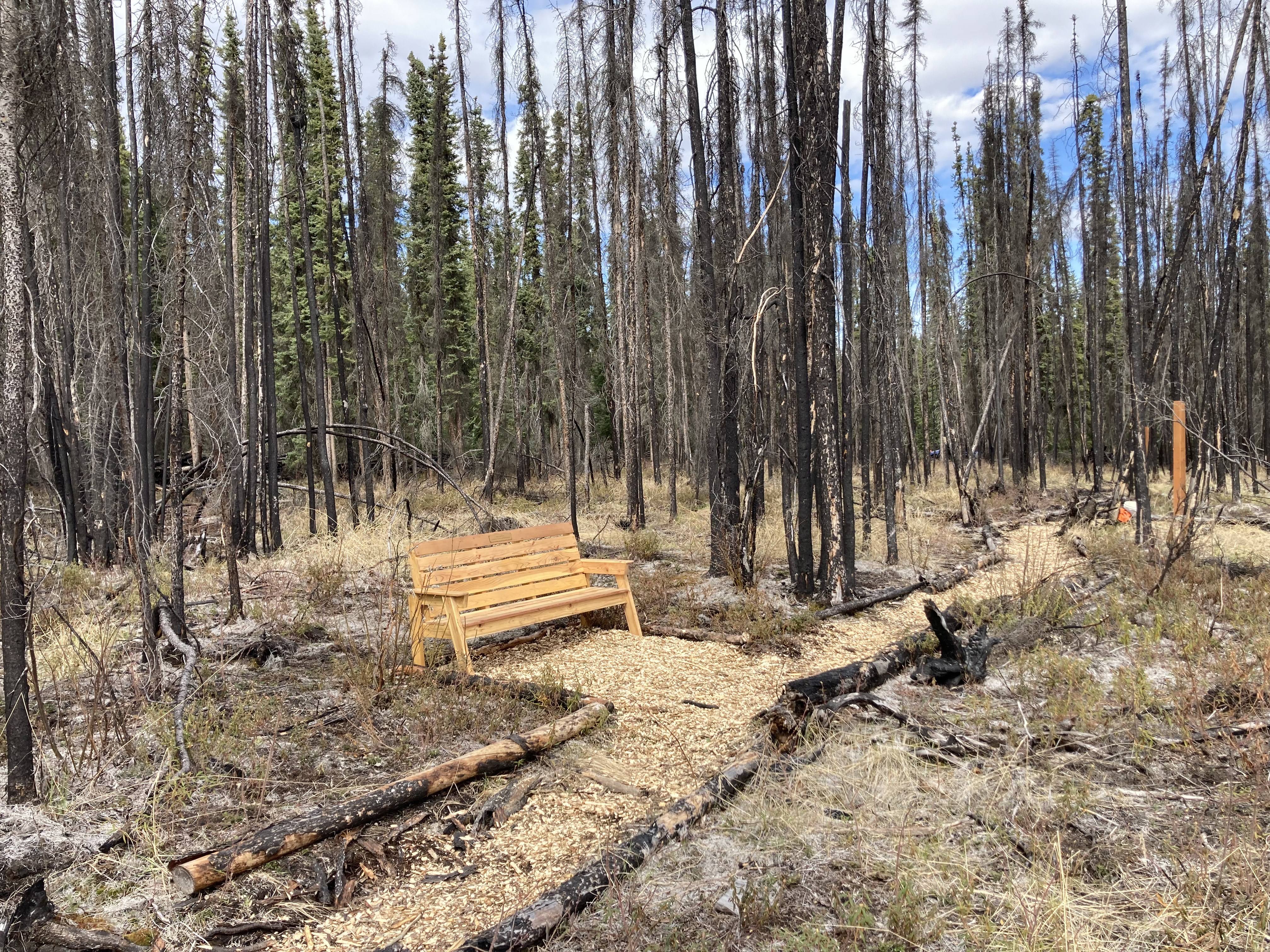 Photo of the bench overlooking the burn scar.