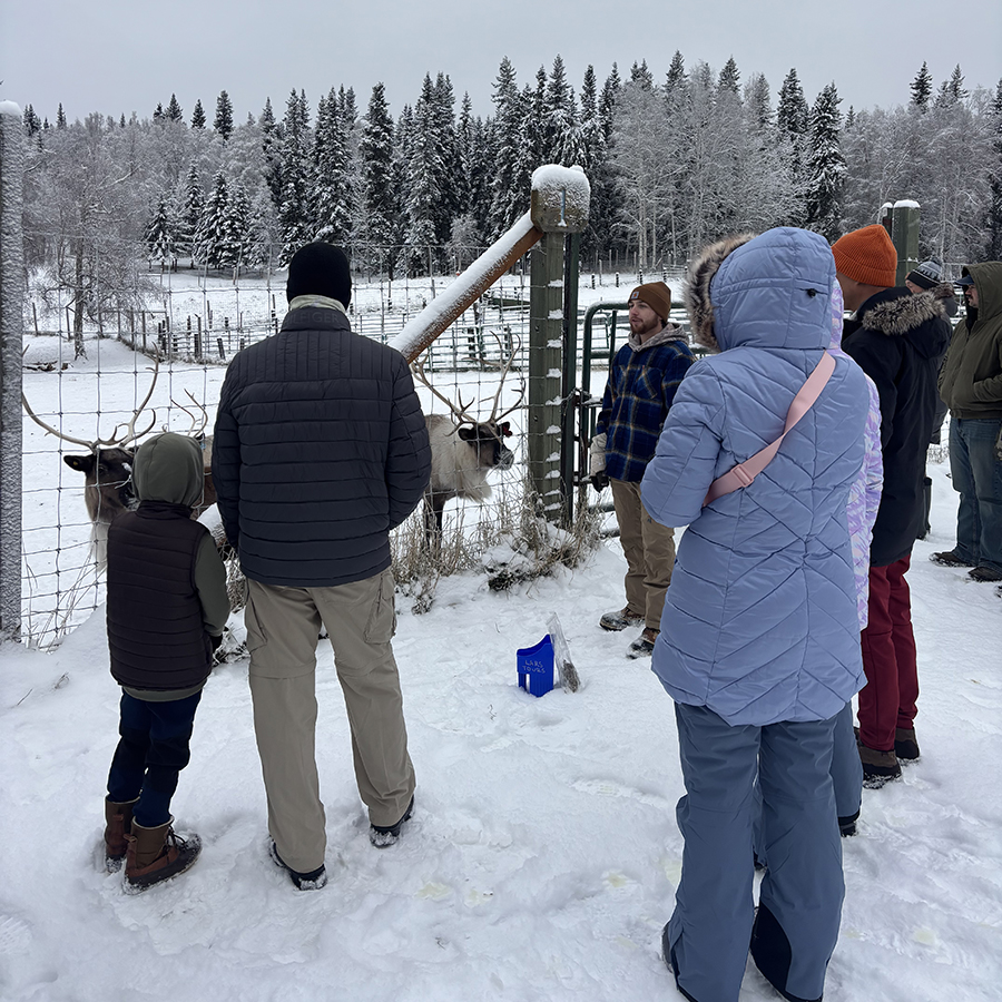 Visitors to the Large Animal Research Station see and learn about reindeer during a winter tour.
