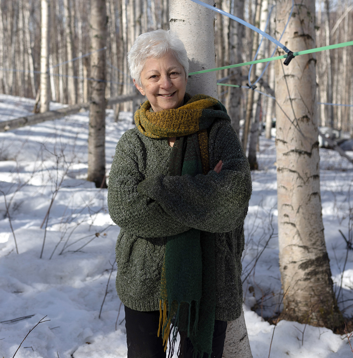 A woman wearing a sweater and scarf stands in front of a birch tree with a line of green tubing attached. Snow covers the ground.