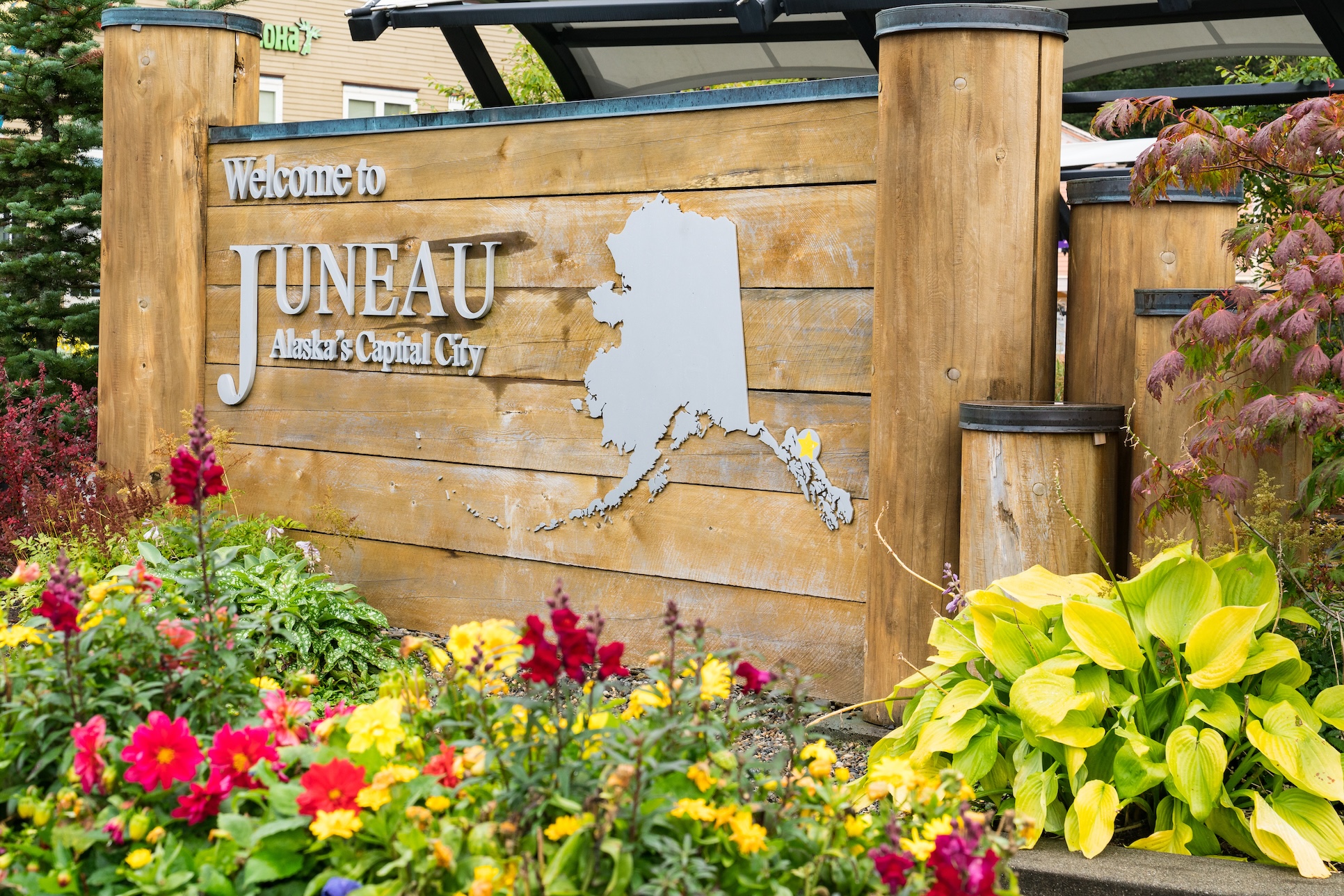 Bright flowers bloom at the base of a wooden Welcome to Juneau sign