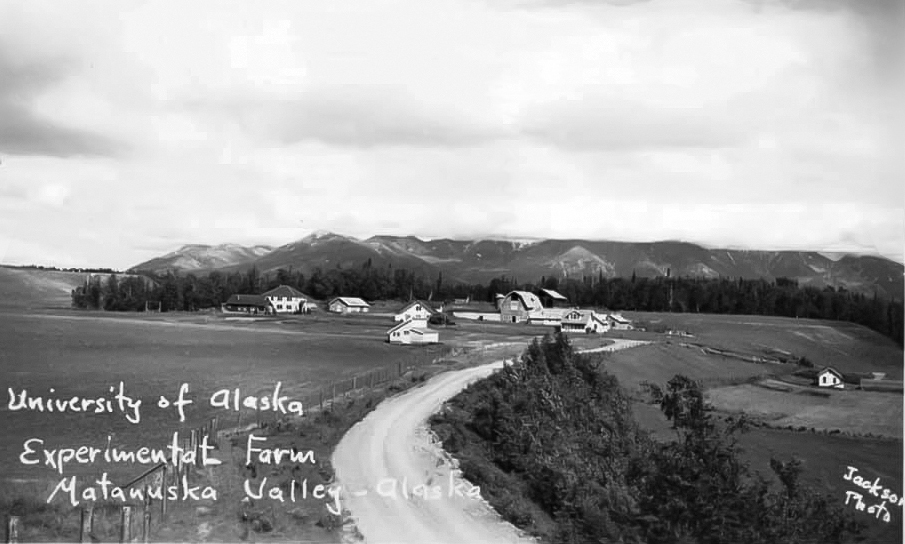 Farm buildings at the Matanuska Experiment Farm in the midst of fields in a black-and-white photo taken between 1935-1945. Mountains are in the background.