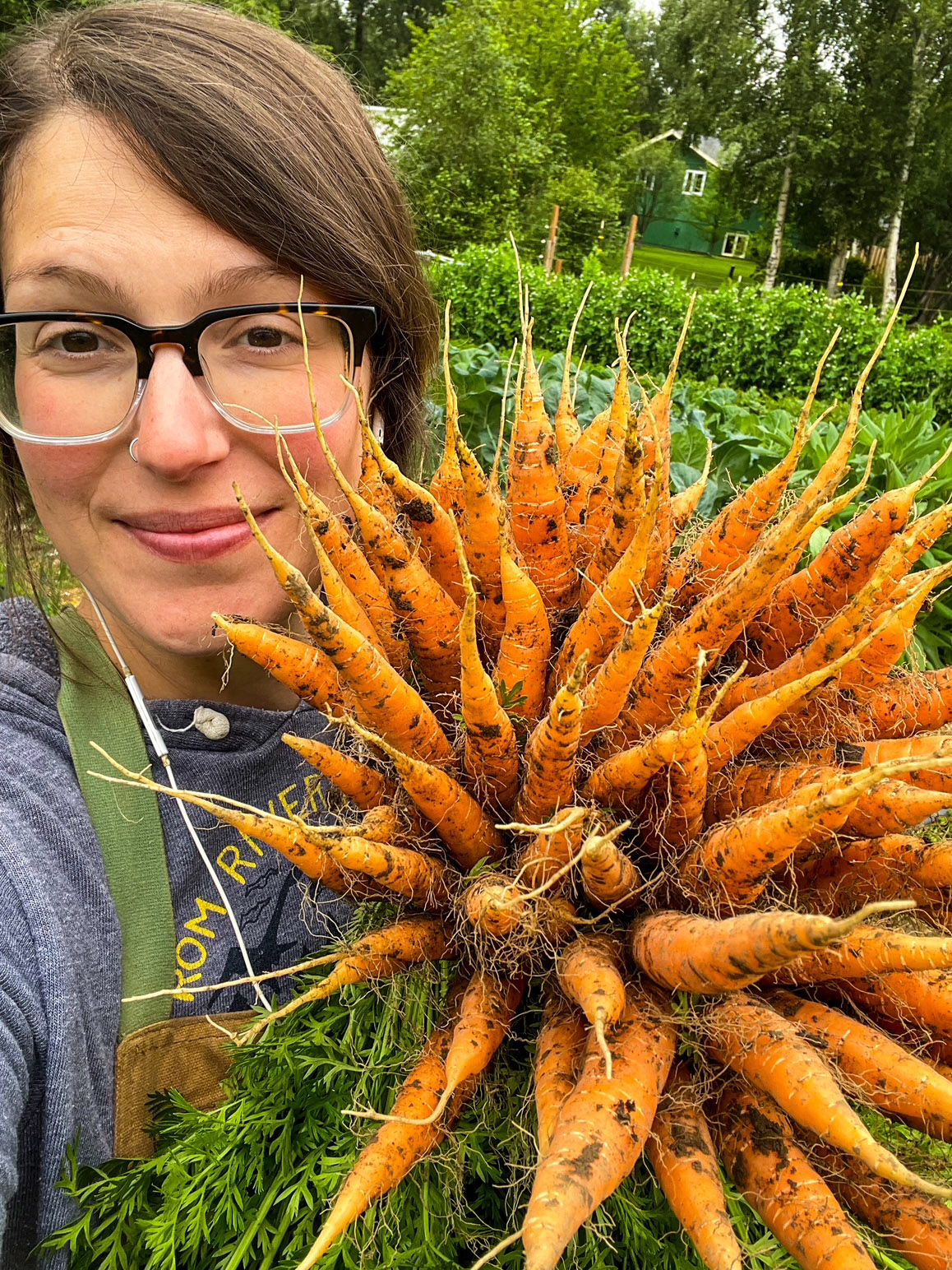 A woman holds up a large bunch of freshly pulled orange carrots