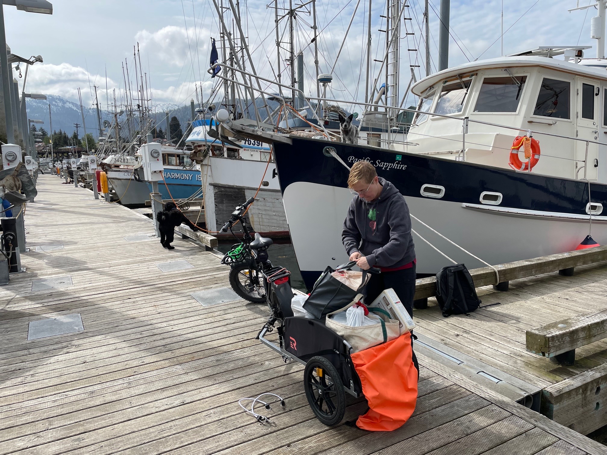 A woman loads a small bicycle trailer on the dock of a small boat harbor with snow-covered mountains in the background. 