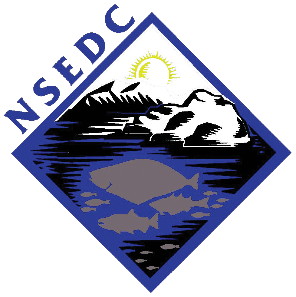 NSEDC Logo