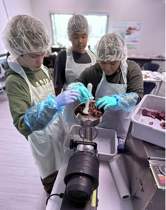 Reindeer Meat Production workshop students learn about meat chemistry and food hygiene in the production of reindeer jerky.