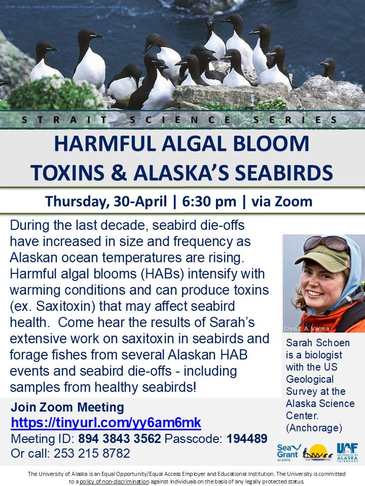 Harmful Algal Bloom Toxins and Alaska's Seabirds Flyer